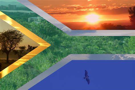 South Africa: focus on foreign investments