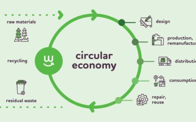 Leading the Way: The Netherlands and the Transition to a Circular Economy