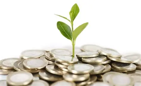 German GAAP (Handelsgesetzbuch – HGB) vs. IFRS: Understanding Germany’s Accounting Framework
