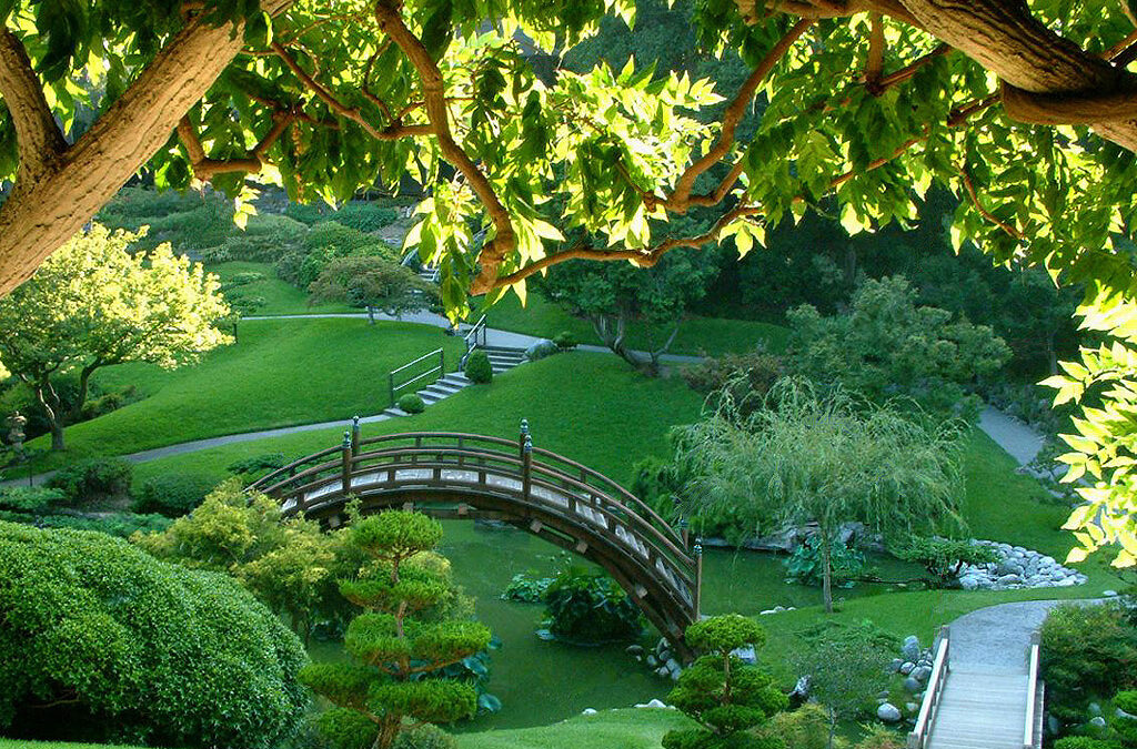 Japan Issues First-Ever Sustainability Disclosure Standards, Reaffirms Global Environmental Commitments