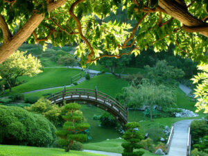 Picture with bridges and paths in a Japanese garden