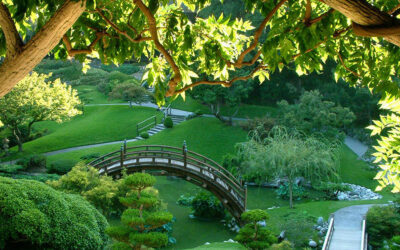 Japan Issues First-Ever Sustainability Disclosure Standards, Reaffirms Global Environmental Commitments