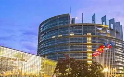 EU Omnibus Update: Postponement, Simplification, and What Comes Next