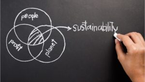 diagram that shows sustainability is the core of all 3 elements: people, profit and planet