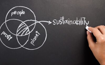 From Regulation to Resilience: Understanding Europe’s Sustainability Shift
